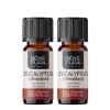 2x Bio Eukalüpt Citriodora Eeterlik õli - 10ml