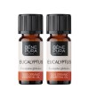 2x Bio Eukalüpt Globulus Eeterlik õli - 10ml