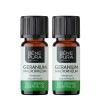 2x Bio Geranium Eeterlik õli - 10ml