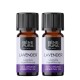 2x Bio Lavendel Eeterlik õli - 10ml