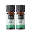 2x Bio Metsik Münt Eeterlik õli - 10ml