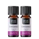 2x Bio Oregano Eeterlik õli - 10ml