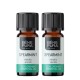 2x Bio Rohemünt Eeterlik õli - 5ml