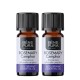 2x Bio Rosmariin Camphor Eeterlik õli - 5ml