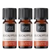 3x Bio Eukalüpt Globulus Eeterlik õli - 10ml