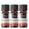 3x Bio Eukalüpt Radiata Eeterlik õli - 10ml