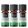3x Bio Geranium Eeterlik õli - 10ml