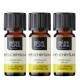 3x Bio Helichrysum Eeterlik õli - 5ml