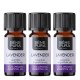 3x Bio Lavendel Eeterlik õli - 10ml
