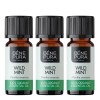 3x Bio Metsik Münt Eeterlik õli - 10ml