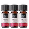 3x Bio Niaouli Eeterlik õli - 10ml