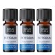 3x Bio Petitgrain Eeterlik õli - 5ml