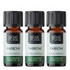 3x Bio Raudrohi Eeterlik õli - 10ml