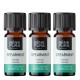 3x Bio Rohemünt Eeterlik õli - 5ml