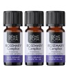 3x Bio Rosmariin Camphor Eeterlik õli - 10ml