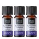 3x Bio Rosmariin Camphor Eeterlik õli - 5ml