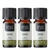 3x Bio Salvei Eeterlik õli - 10ml