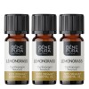3x Bio Sidrunhein Eeterlik õli - 10ml