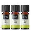 3x Bio Teepuu Eeterlik õli - 10ml