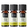 3x Bio Ylang-ylang Eeterlik õli - 10ml