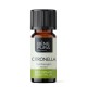 Bio Citronella Eeterlik õli - 10ml