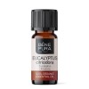 Bio Eukalüpt Citriodora Eeterlik õli - 10ml