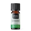 Bio Geranium Eeterlik õli - 10ml
