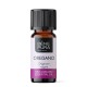 Bio Oregano Eeterlik õli - 10ml