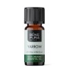 Bio Raudrohi Eeterlik õli - 10ml