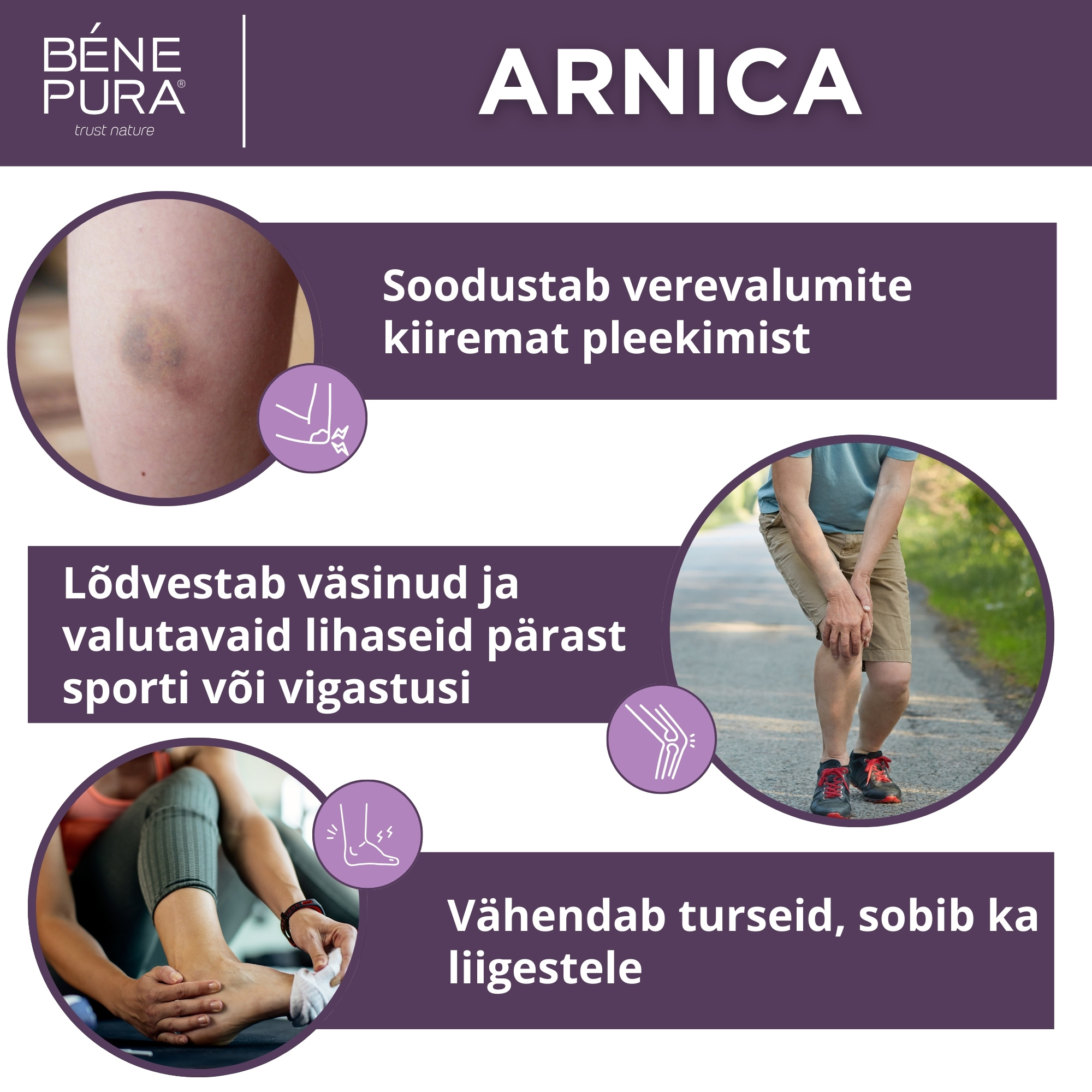 Liigesevalu, lihasvalu ja verevalumite salvid komplekt