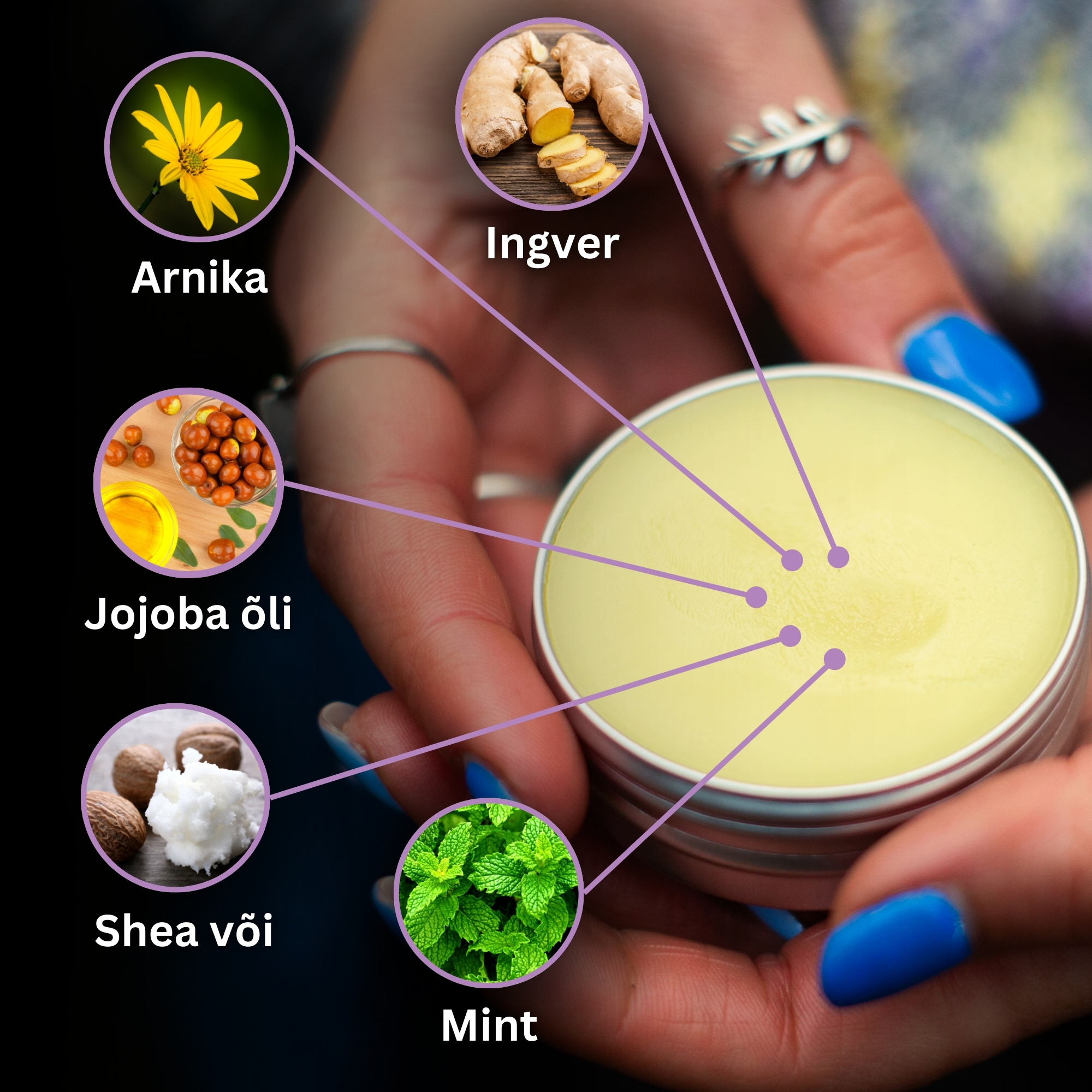 Liigesevalu, lihasvalu ja verevalumite salvid komplekt