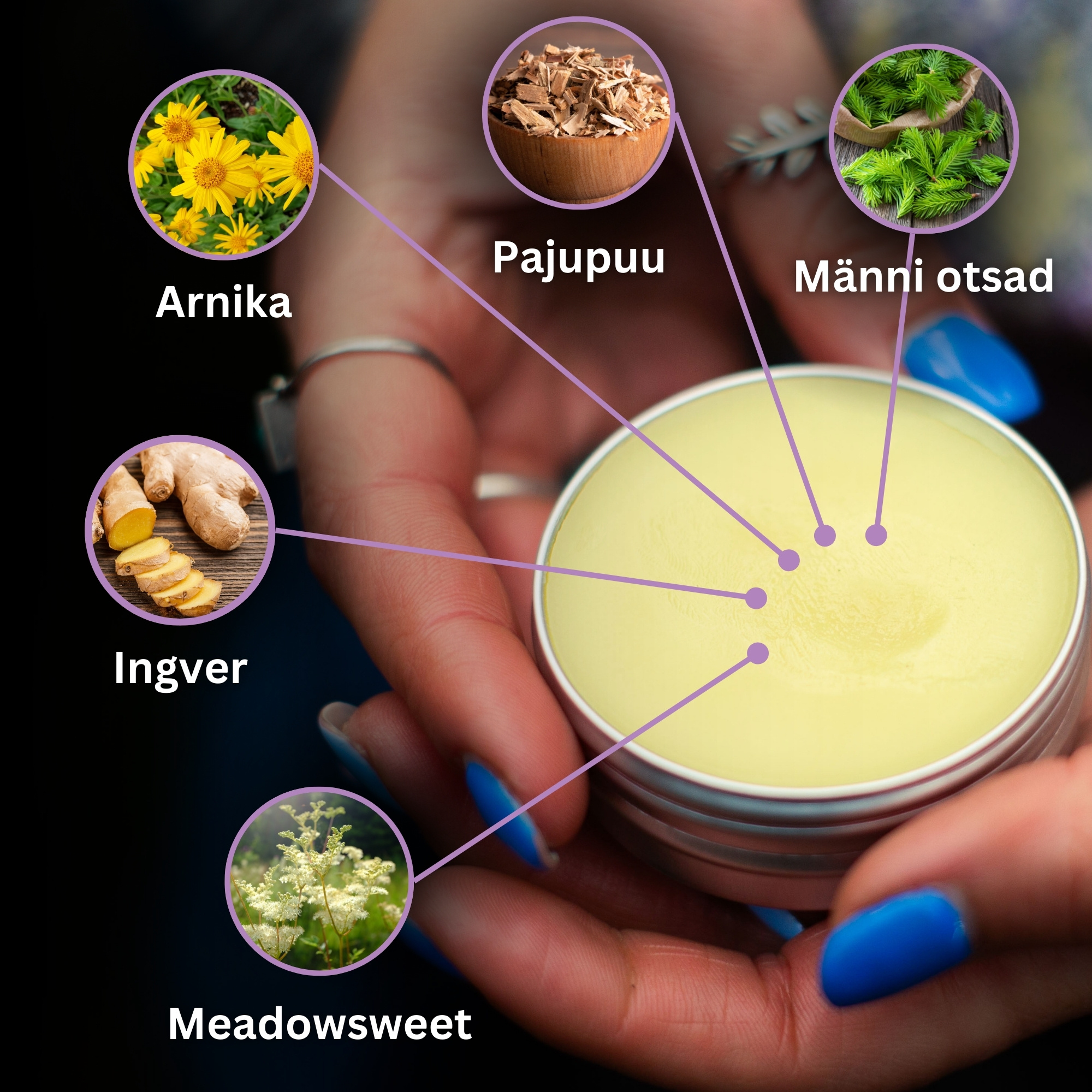 Liigesevalu, lihasvalu ja verevalumite salvid 2 komplekt