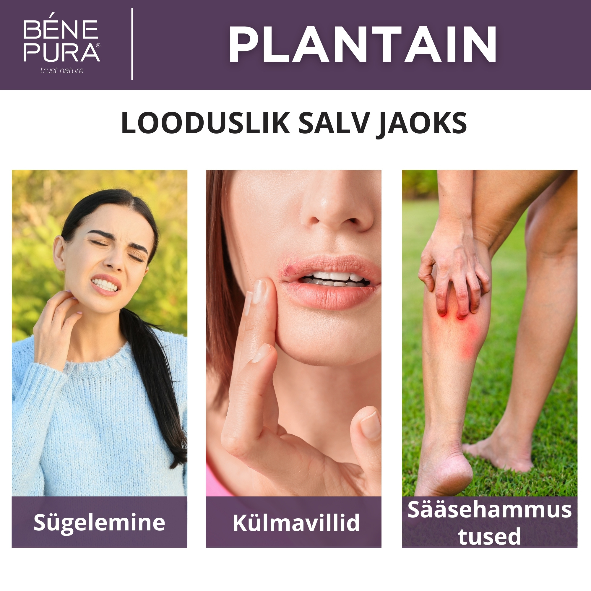 Nahaärrituste jaoks mõeldud salvid komplekt