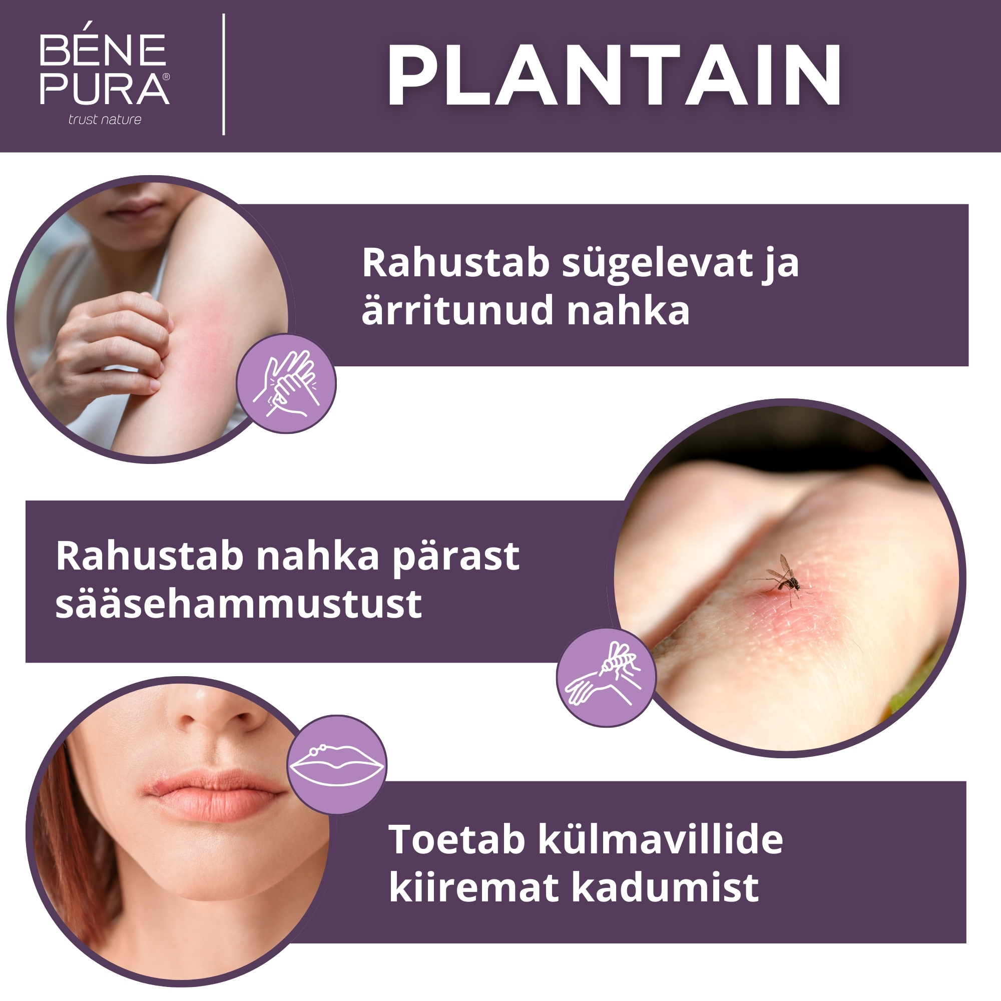 Nahaärrituste jaoks mõeldud salvid komplekt