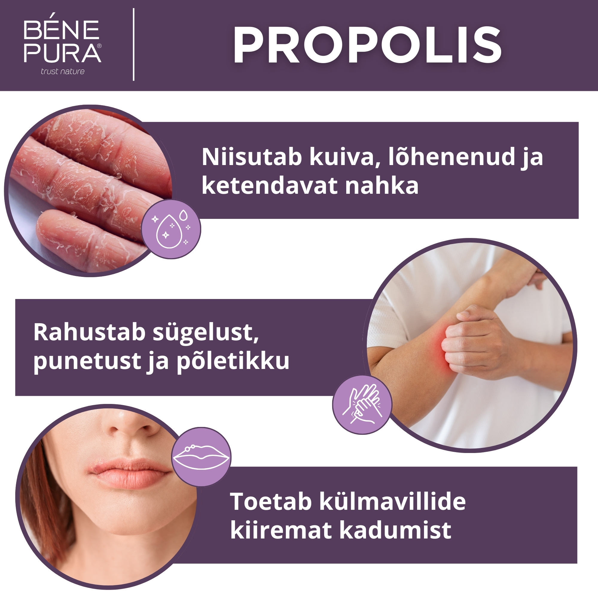 Nahaärrituste jaoks mõeldud salvid komplekt