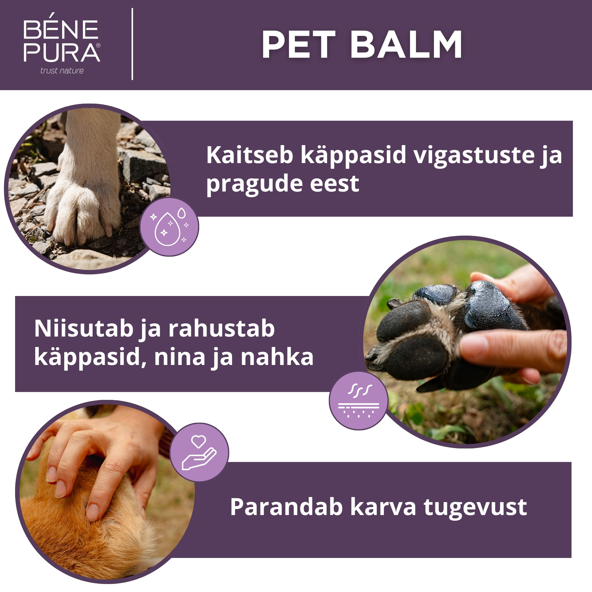 Salvid koertele komplekt