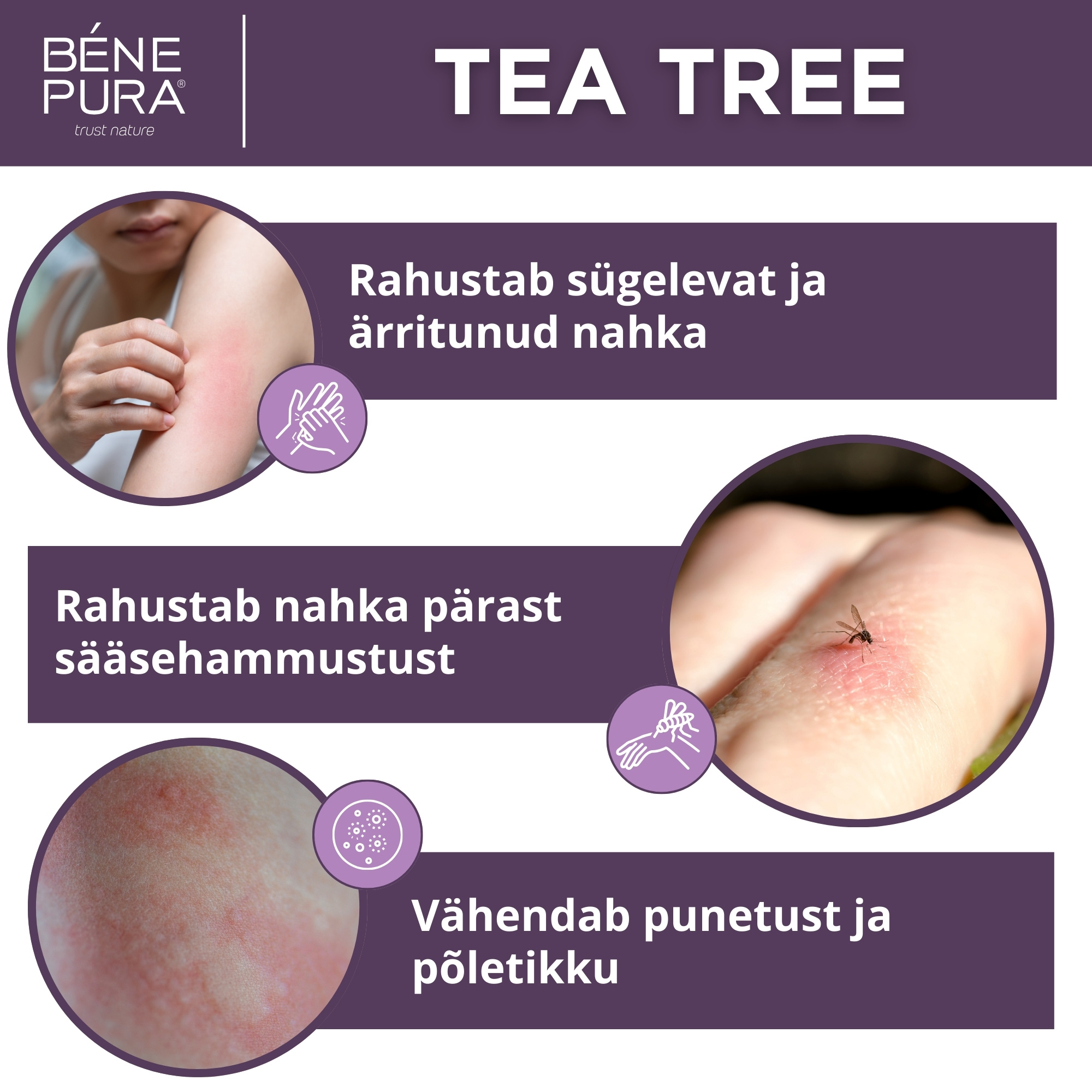 Universaalne 2 komplekt