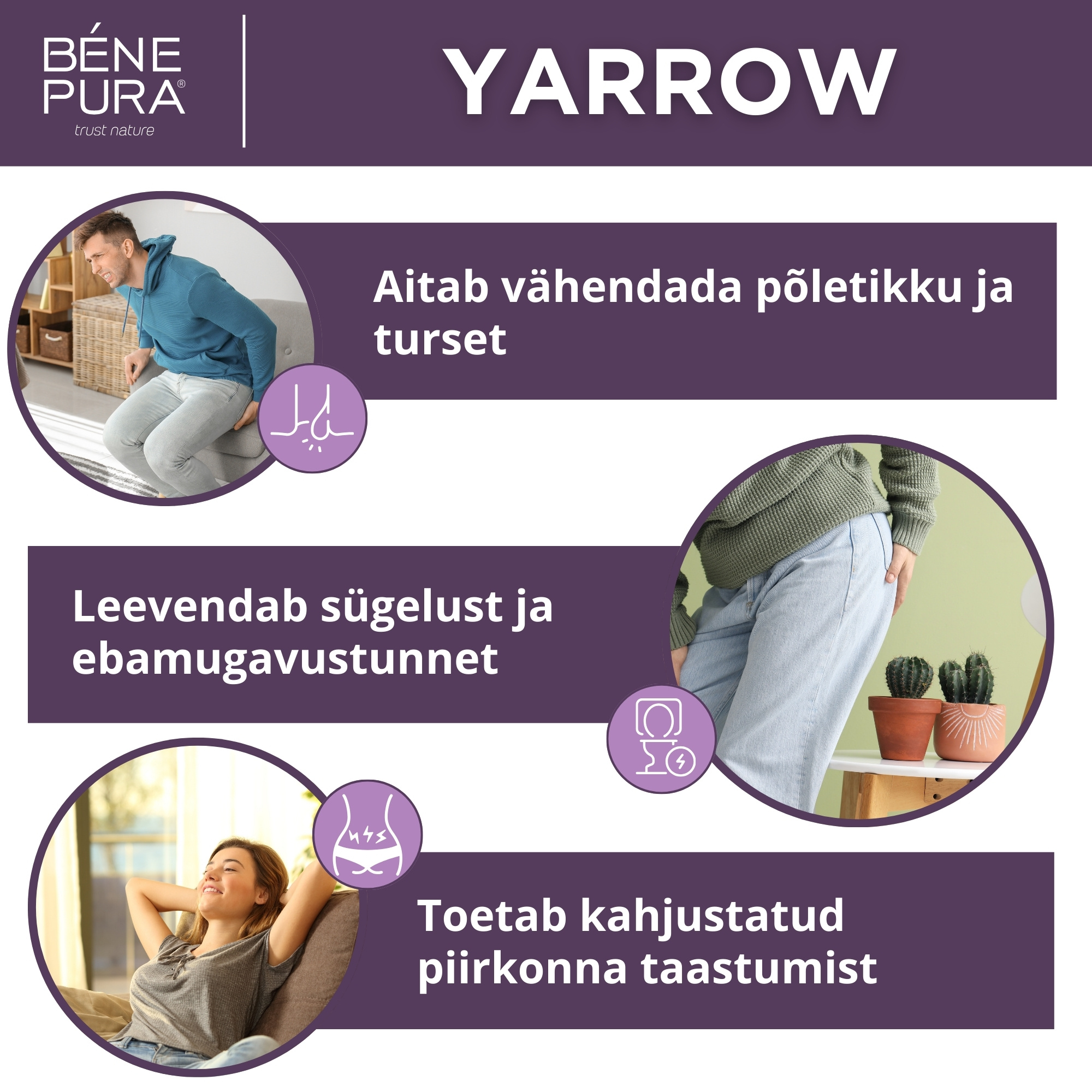 3x Hemorroidide Salv Valge Yarrow - 40ml