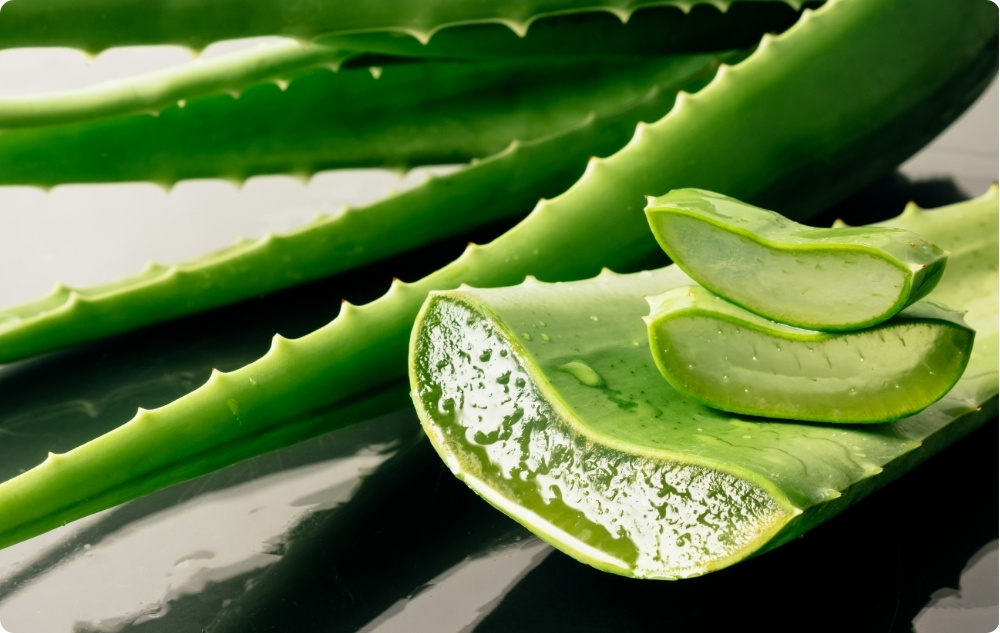 Põletus- ja haavasalv Saialille, Aloe Vera ja Naistepunaga - 40ml