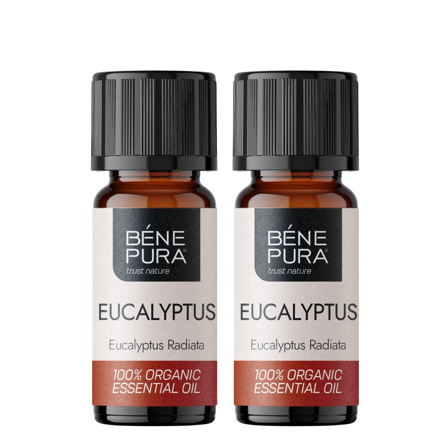 2x Bio Eukalüpt Radiata Eeterlik õli - 10ml - Benepura.ee 2x Bio Eukalüpt Radiata Eeterlik õli - 10ml