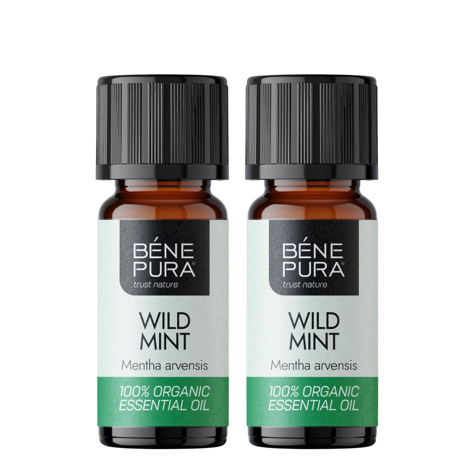 2x Bio Metsik Münt Eeterlik õli - 10ml - Benepura.ee 2x Bio Metsik Münt Eeterlik õli - 10ml