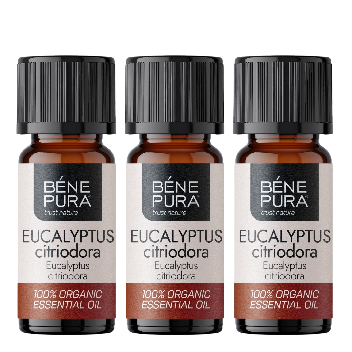 3x Bio Eukalüpt Citriodora Eeterlik õli - 10ml - Benepura.ee 3x Bio Eukalüpt Citriodora Eeterlik õli - 10ml