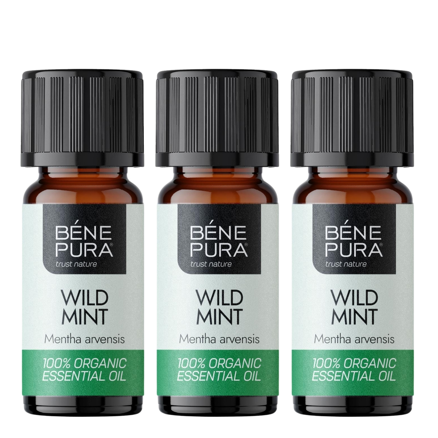 3x Bio Metsik Münt Eeterlik õli - 10ml - Benepura.ee 3x Bio Metsik Münt Eeterlik õli - 10ml