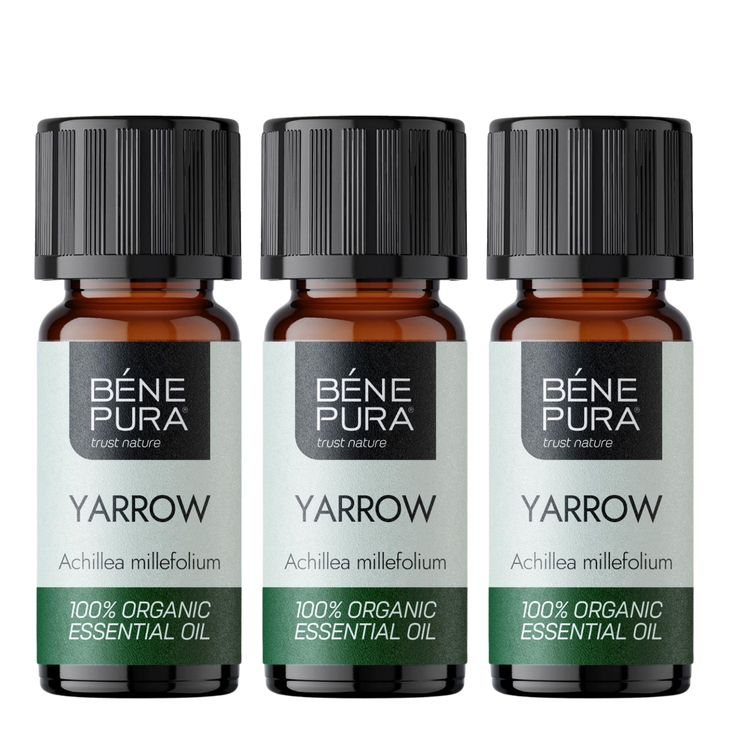 3x Bio Raudrohi Eeterlik õli - 10ml