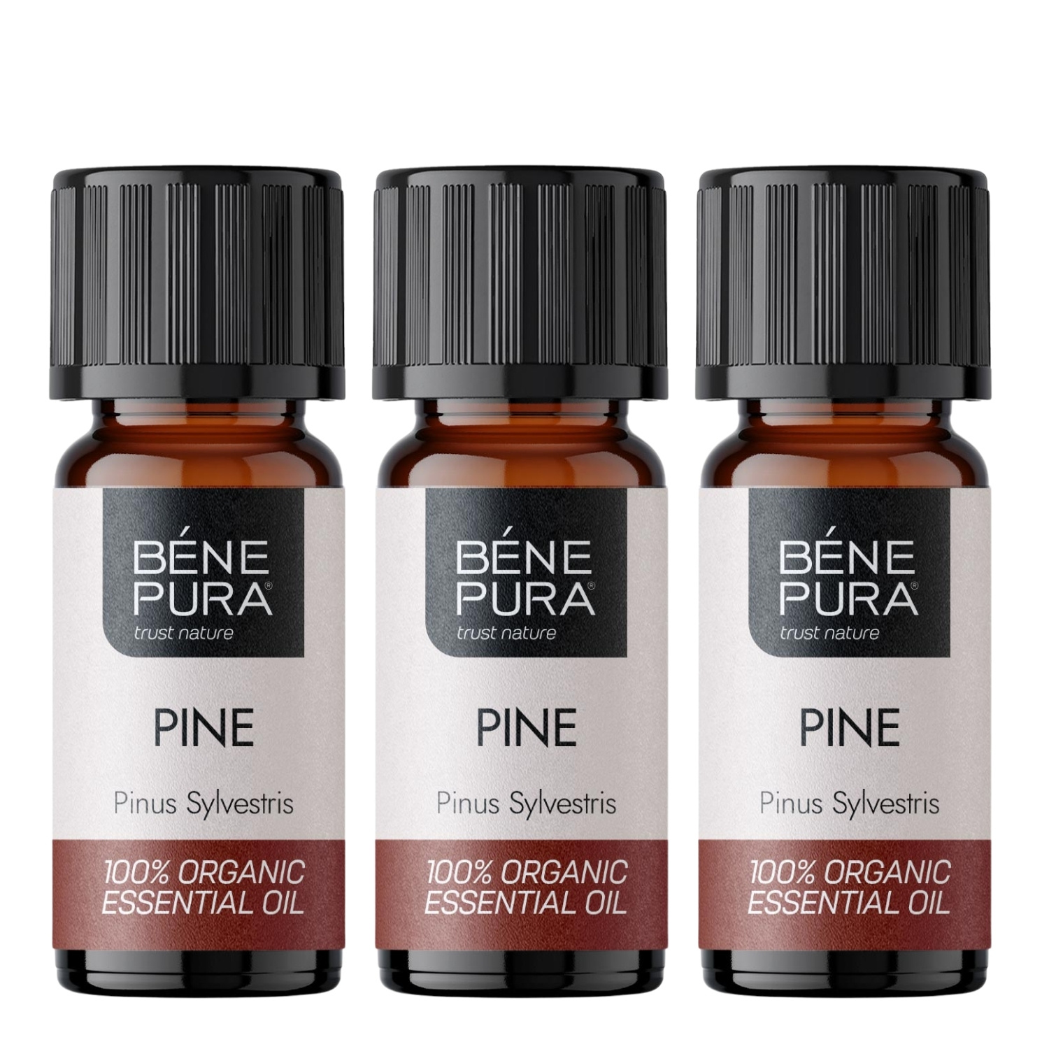3x Bio Valge Mänd Eeterlik õli - 10ml - Benepura.ee 3x Bio Valge Mänd Eeterlik õli - 10ml
