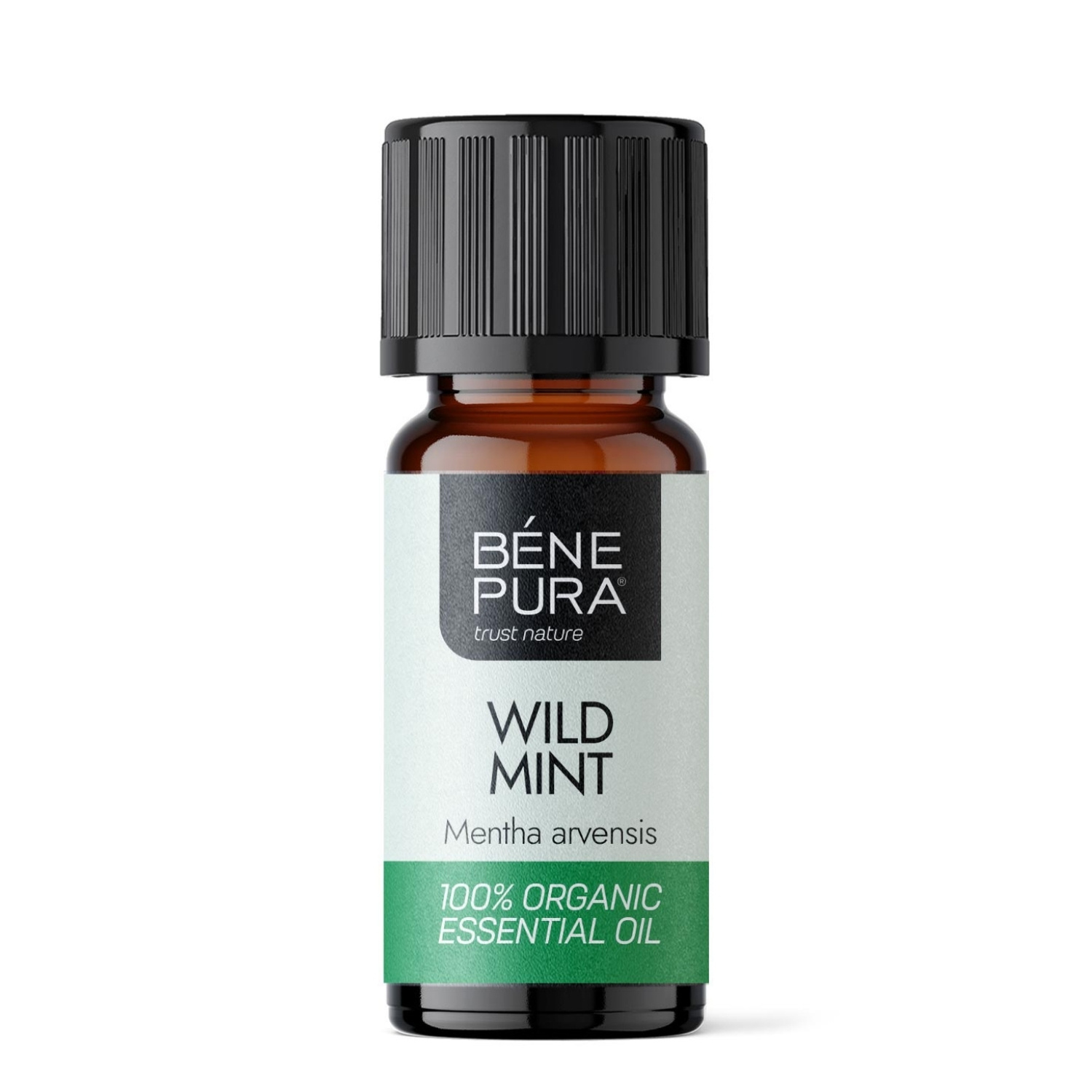 Bio Metsik Münt Eeterlik õli - 10ml - Benepura.ee Bio Metsik Münt Eeterlik õli - 10ml