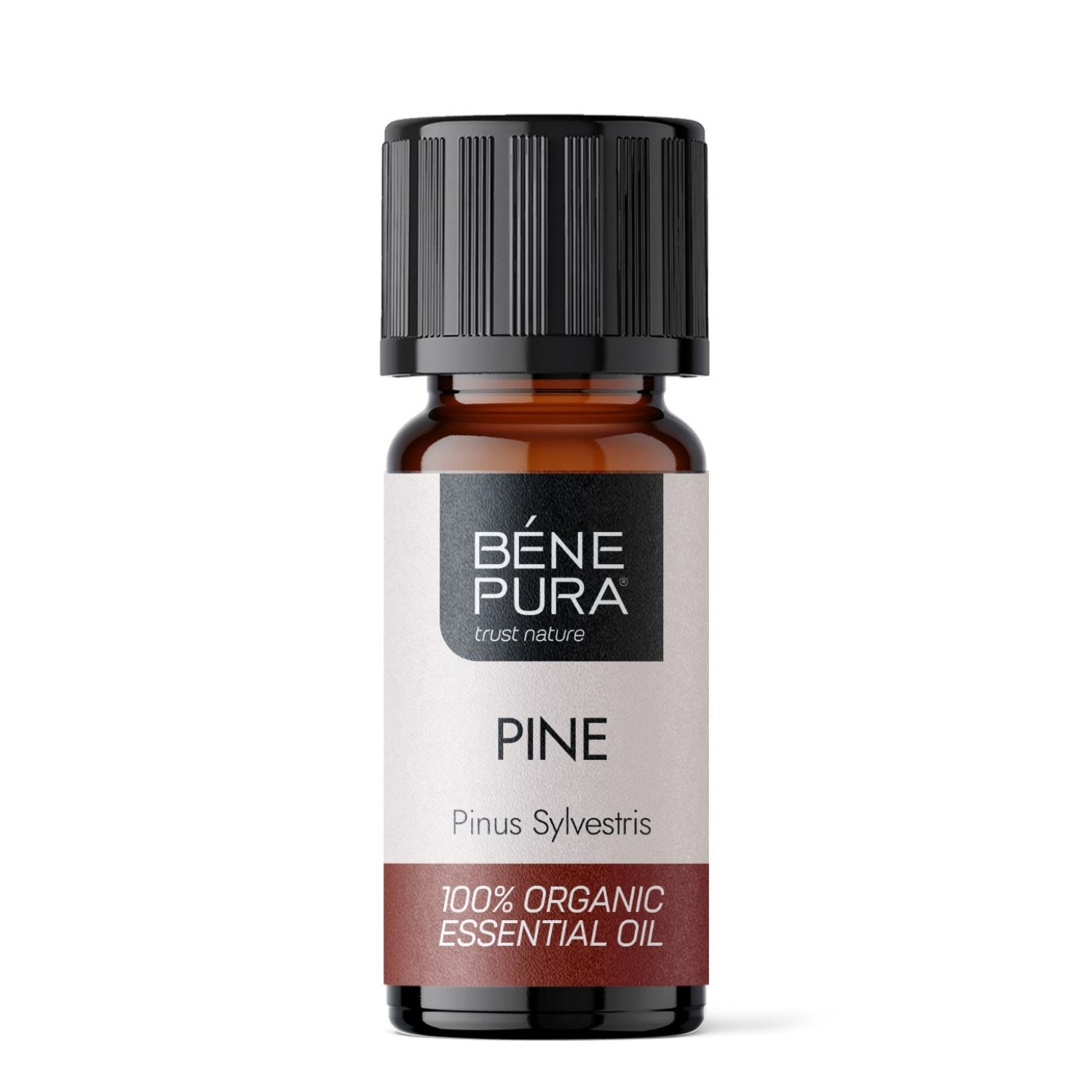 Bio Valge Mänd Eeterlik õli - 10ml - Benepura.ee Bio Valge Mänd Eeterlik õli - 10ml